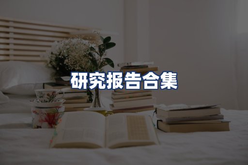 研究报告合集